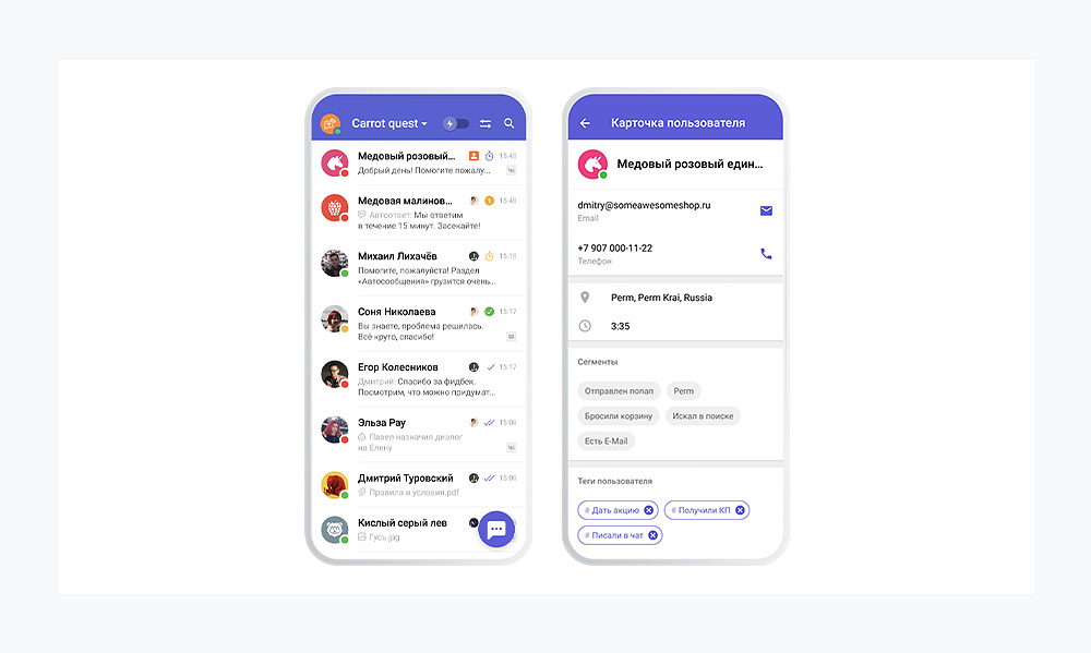 integratsiya mobilnyh prilozheniy s crm sistemami